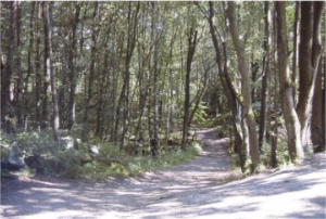 stacks_image_3D6F83AE-7B74-491A-BA9E-5B487229F3A3